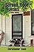 Screen Door Jesus & Other S...