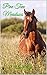 Pine Tree Meadows (Hollybrook Stables Novella Series)