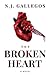 The Broken Heart by N.J. Gallegos