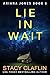 Lie in Wait (Ariana Jones Book 5)
