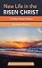 New Life in the Risen Christ: A Wesleyan Theology of Baptism (Wesleyan and Methodist Explorations)