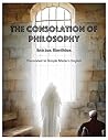 The Consolation o...