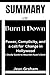 SUMMARY OF Burn it Down: Po...