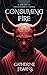 Consuming Fire: A Supernatural Thriller (The Reprobation Series)