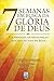 7 Semanas Em Busca Da Gloria De Deus by Jose Victor Dugand