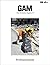 Professionalism (GAM - Graz Architecture Magazine, 19)