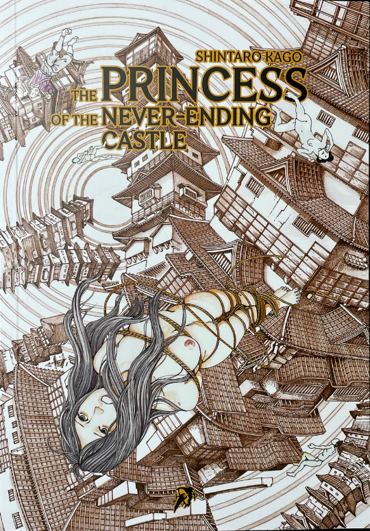 The Princess of the Never-Ending Castle