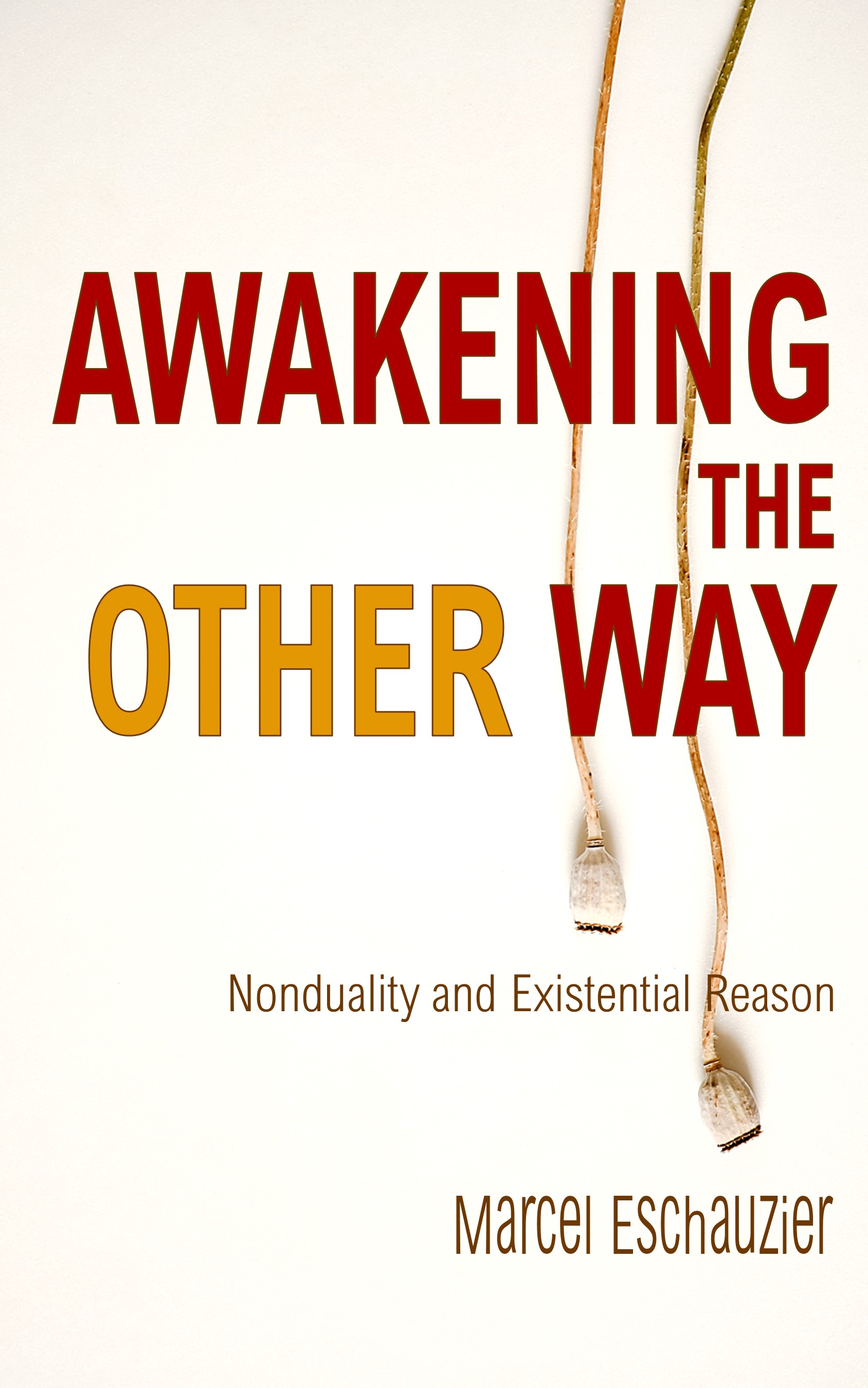 Awakening the Other Way: Nonduality and Existential Reason (Simply Nondual Collection)