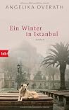 Ein Winter in Ist...