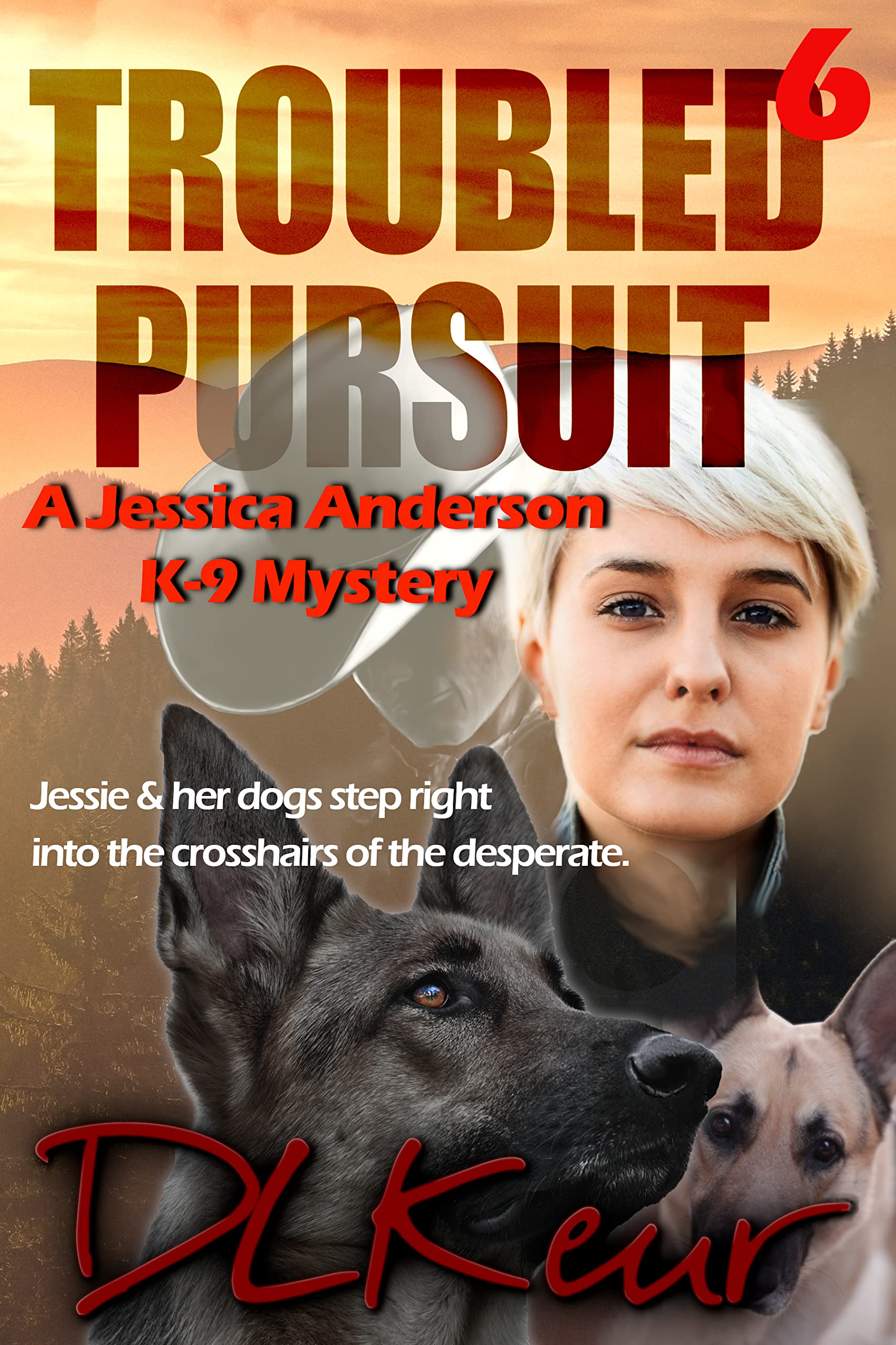 Troubled Pursuit (Jessica Anderson K-9 Mystery #6)