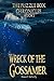 Wreck of the Gossamer by Shawn McCarthy