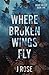 Where Broken Wings Fly (Briar Valley)