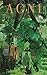 AGNI 97