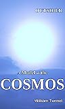 Outsider: A Model of the Cosmos (Outsider Model Book 2)