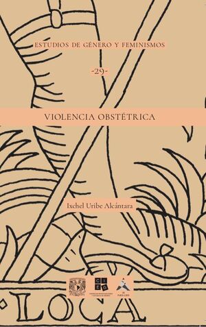 Violencia obstétrica (Estudios de género y feminismos, #29)