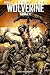 Wolverine by Barry Windsor-Smith Wolverine by Barry Windsor-Smith