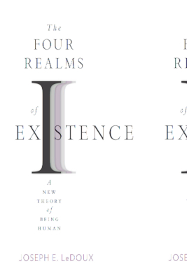 The Four Realms of Existence: A New Theory of Being Human (Hardcover)