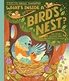 What's Inside A Bird's Nest?: And Other Questions About Nature & Life Cycles