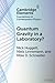 Quantum Gravity in a Laboratory? (Elements in the Foundations of Contemporary Physics)