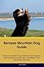 Bernese Mountain Dog Guide ...