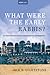 What Were the Early Rabbis?: An Introduction from a Sociocultural Perspective (Westar Studies)