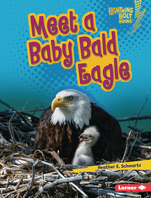 Meet a Baby Bald Eagle (Lightning Bolt Books ® ― Baby North American Animals)