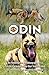 K9 ODIN: The Redemptive Autobiography of a Patrol Tracking Canine that Transformed a Community and Inspired the World