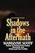 Shadows in the Aftermath (A Draker Series Thriller)