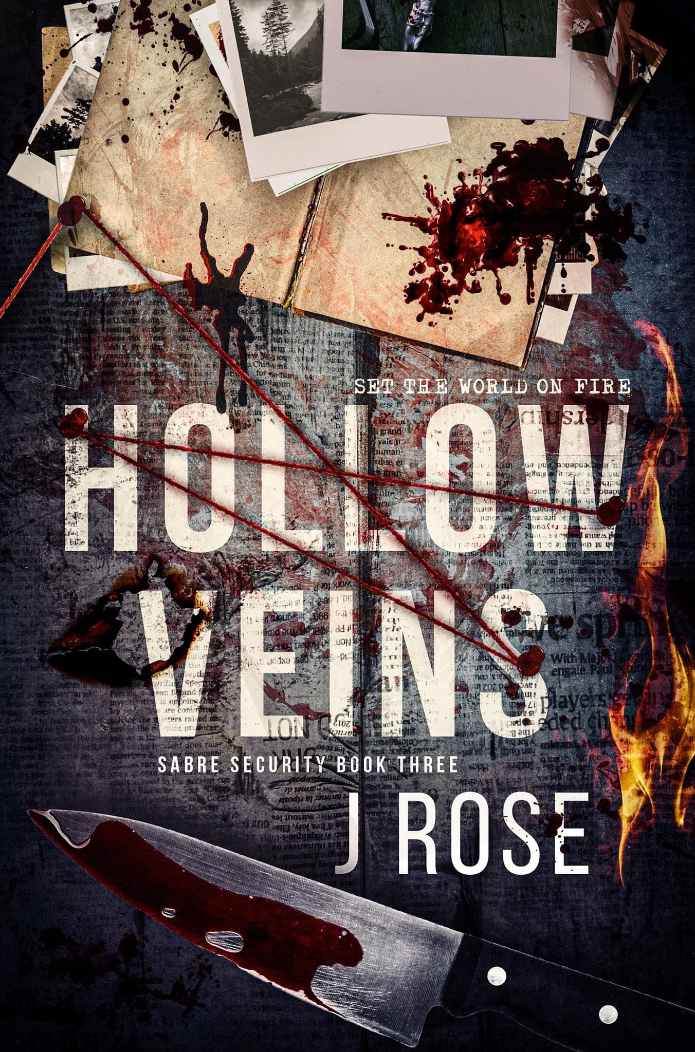 Hollow Veins (Sabre Security, #3)