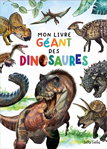 Mon livre géant des dinosaures (Paperback)