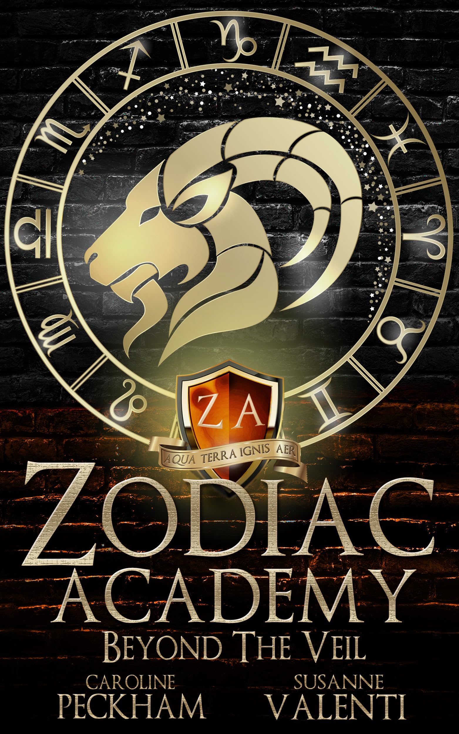Beyond the Veil (Zodiac Academy, #8.5)