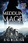 Meddling Mages (The Last Lumenian, #4)