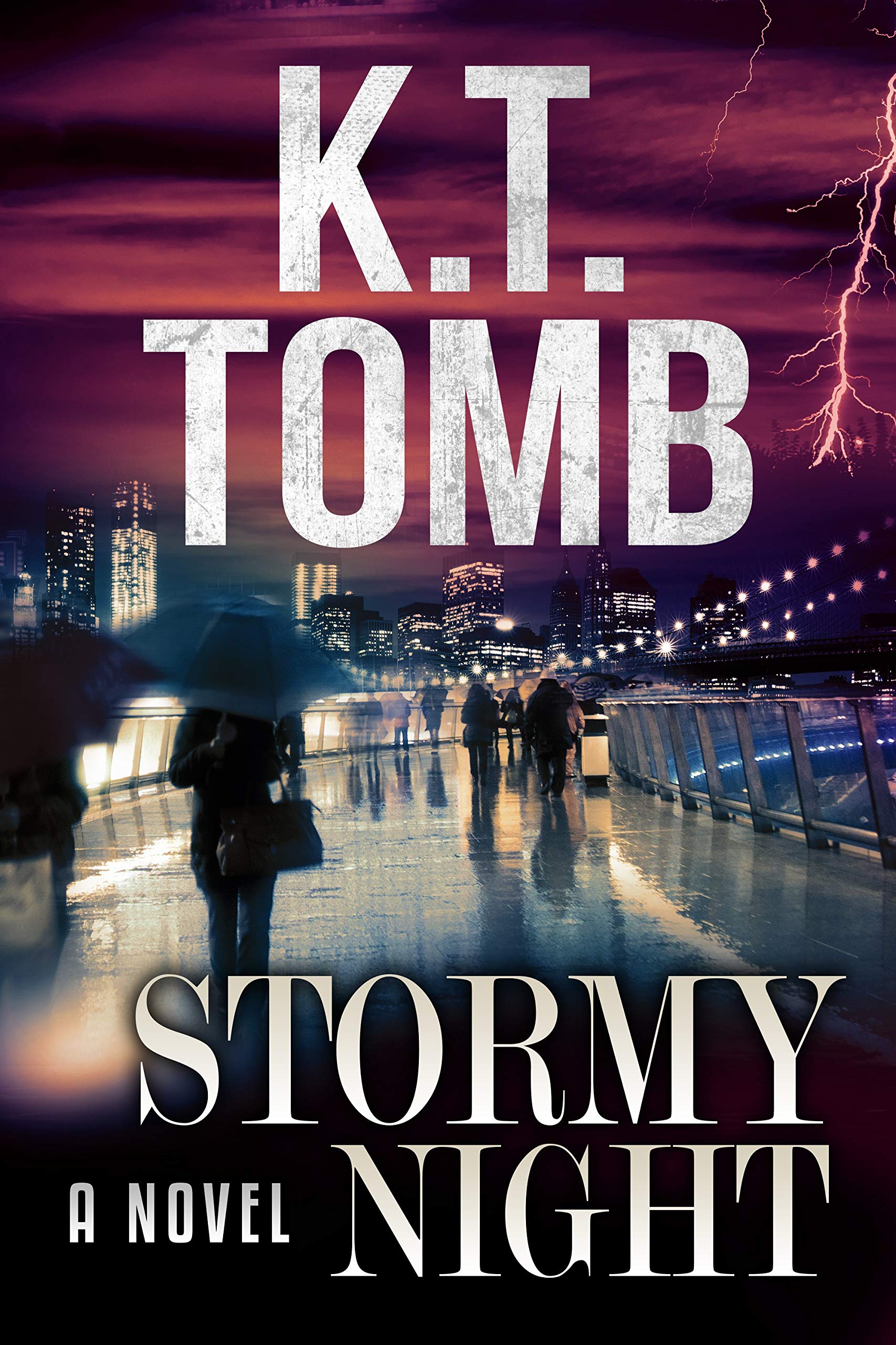 Stormy Night (Burden of Proof Book 3)