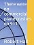 There were no commercial plane crashes on 911. by Robert Hall