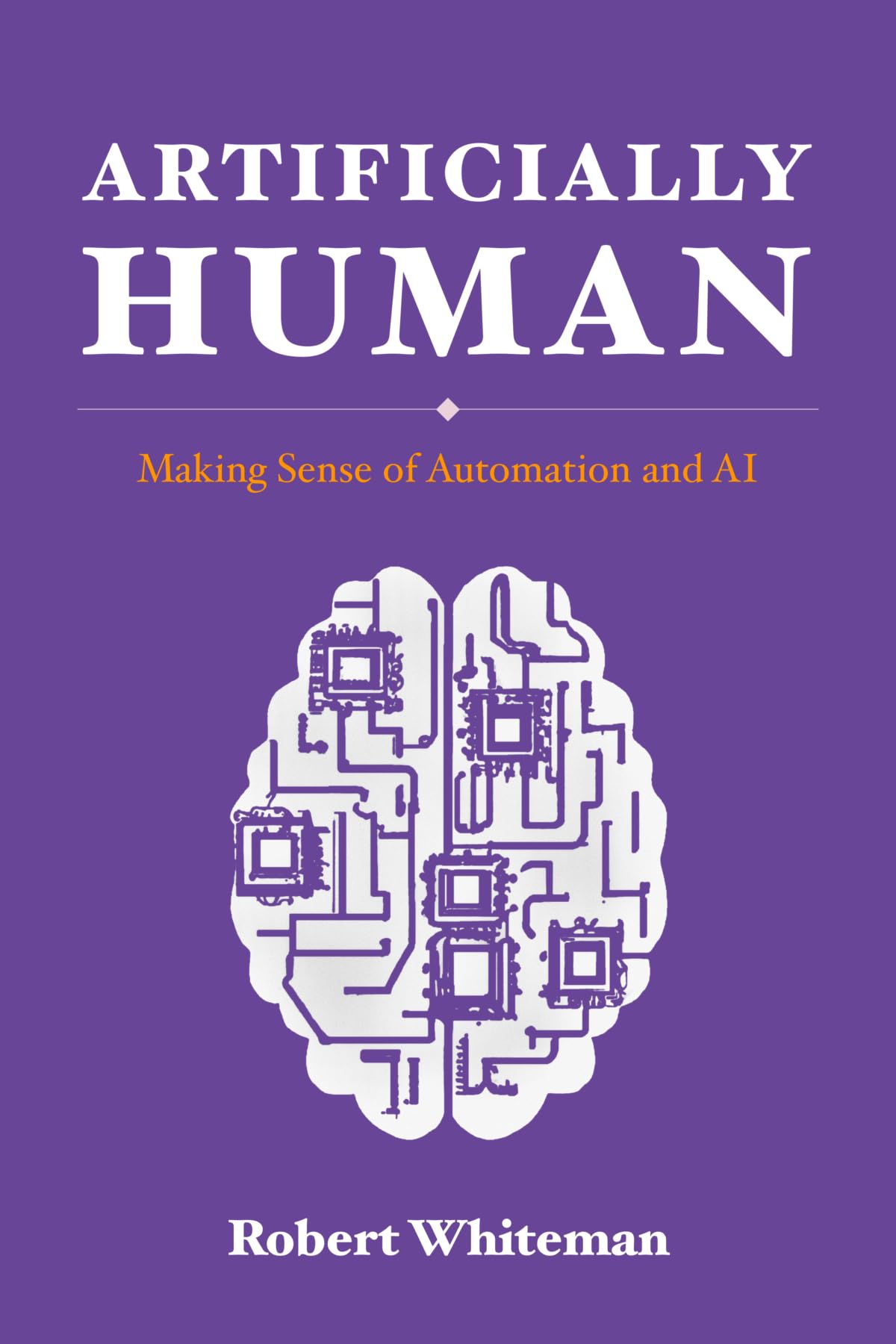 Artificially Human: Making Sense of Automation and AI (Kindle Edition)