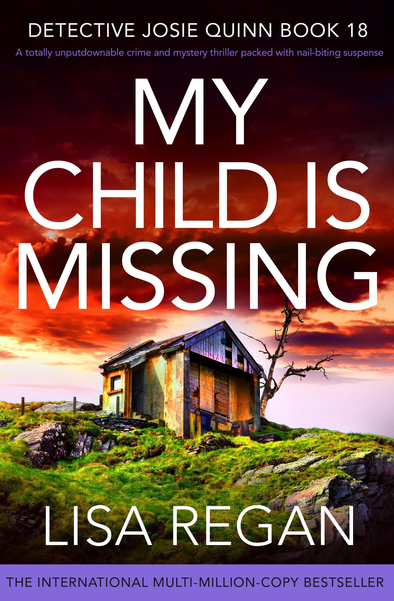 My Child is Missing (Detective Josie Quinn, #18)