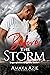 Before the Storm (Lagos Plastic Surgeons Book 1)