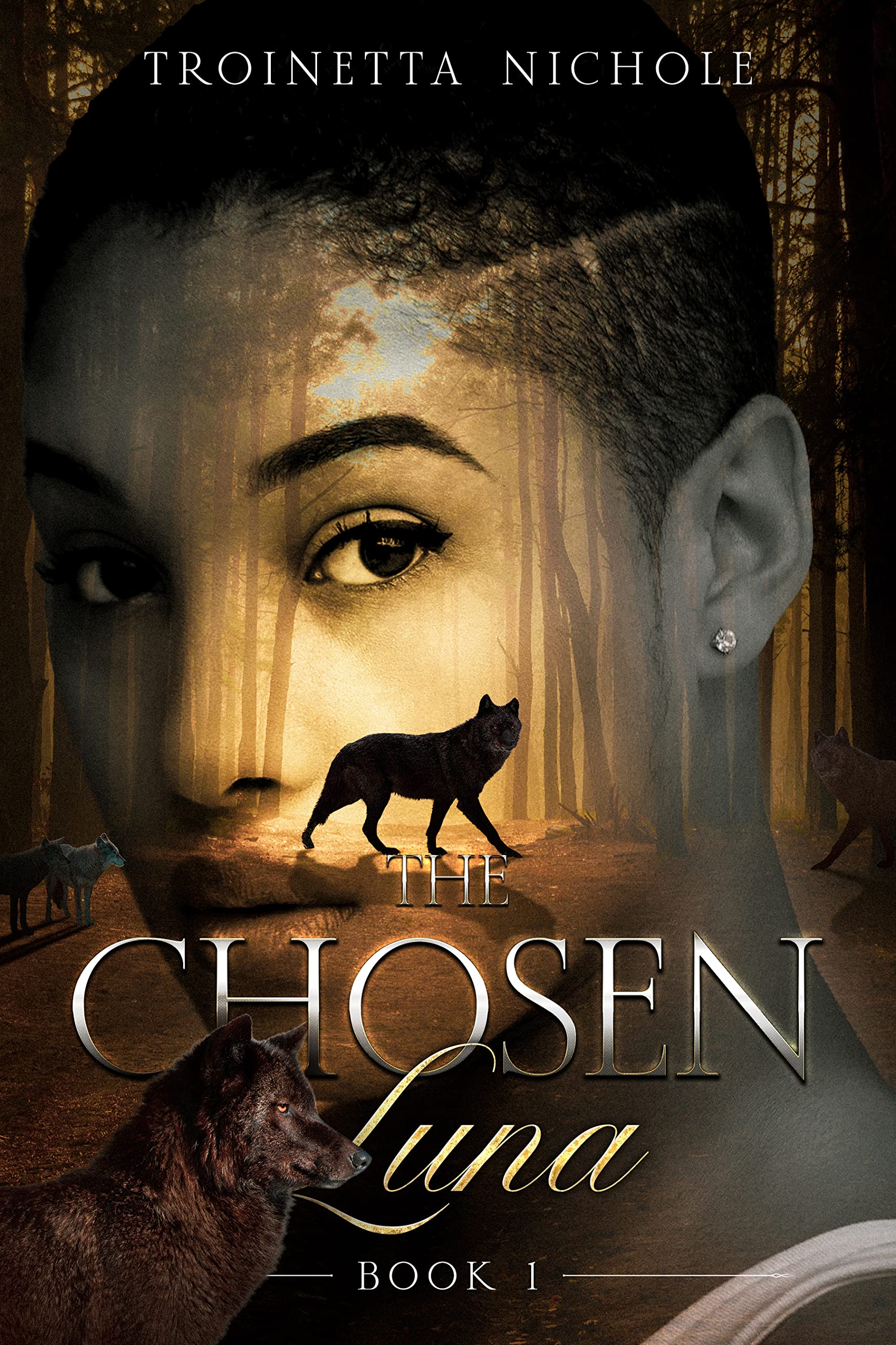 The Chosen Luna: Book 1 (The Chosen Series)