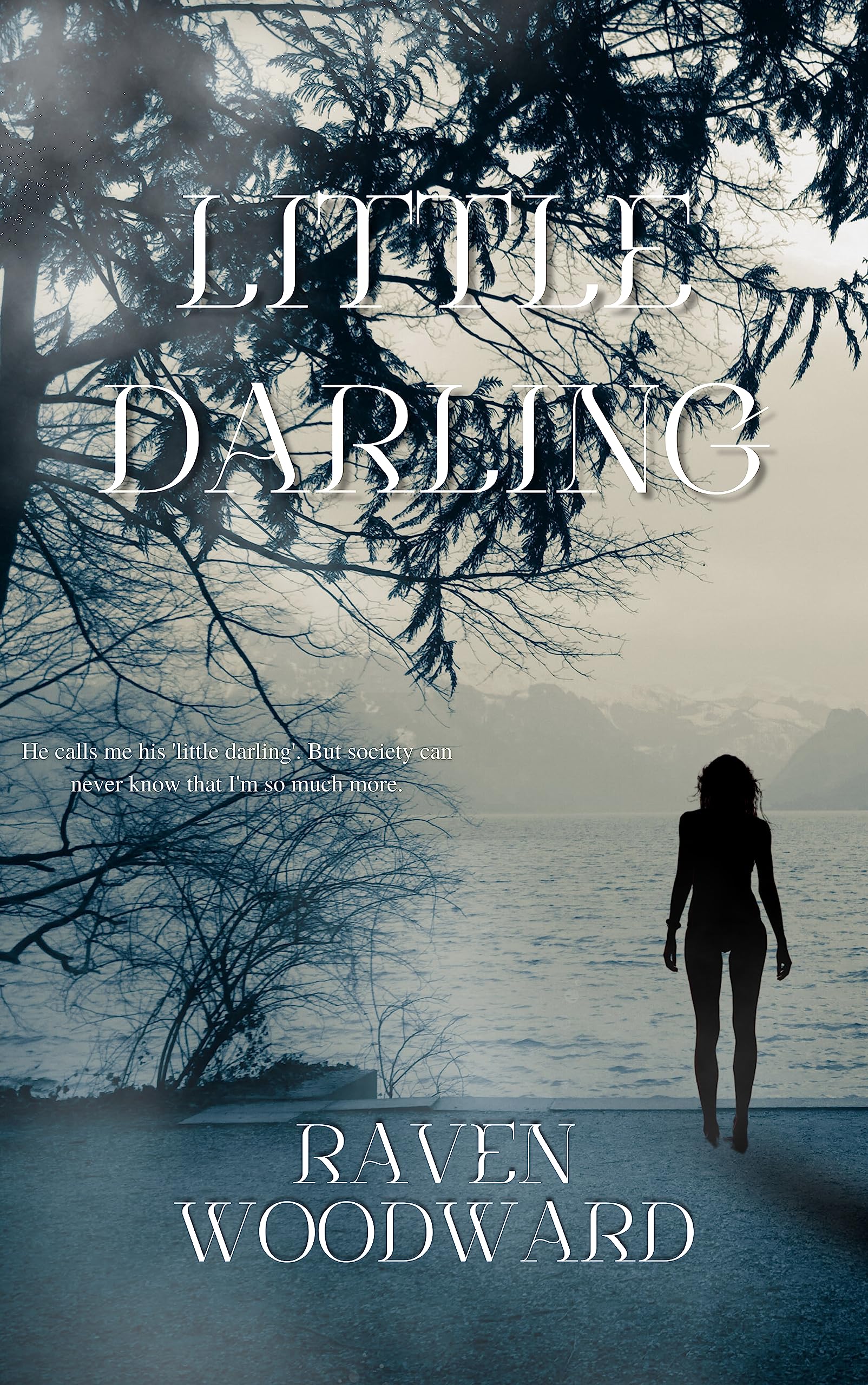 Little Darling (Kindle Edition)