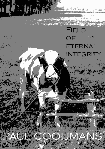 Field of eternal integrity (ebook)