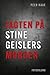 Jagten på Stine Geislers morder by Peer Kaae