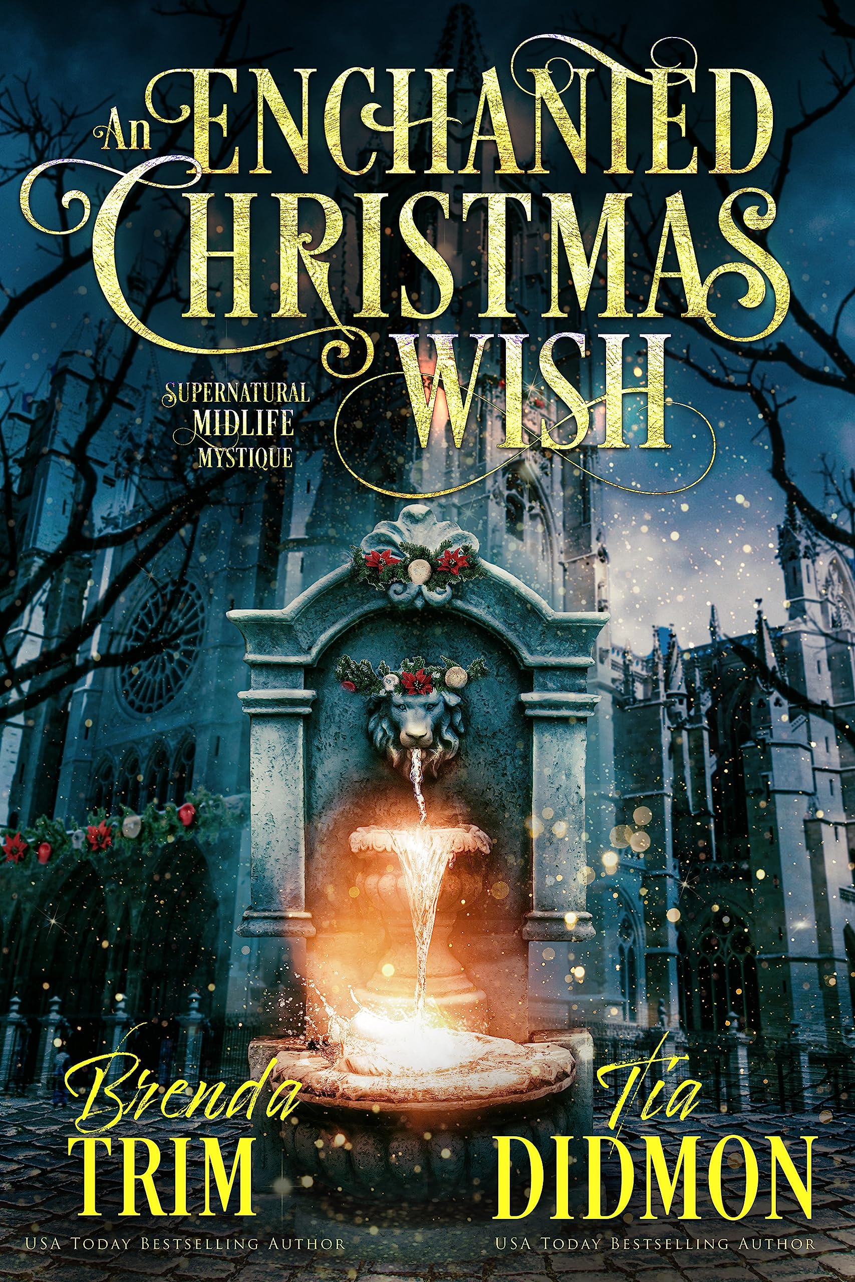 An Enchanted Christmas Wish (Shrouded Nation #13)