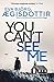 You Can't See Me (Forbidden Iceland, #4)
