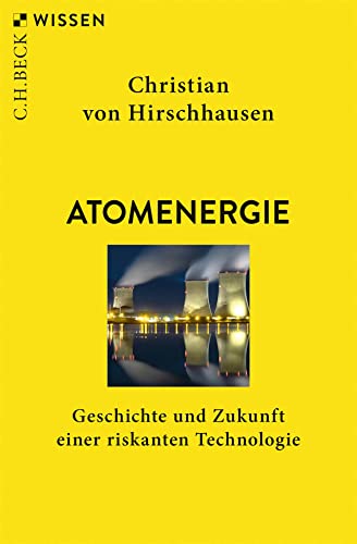 Atomenergie: Geschichte und Zukunft einer riskanten Technologie (Paperback)