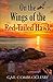 On the Wings of the Red-Tailed Hawk (The Centenary Chronicles-Tales of American Women)