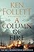 Pan A Column of Fire (The Kingsbridge Novels).