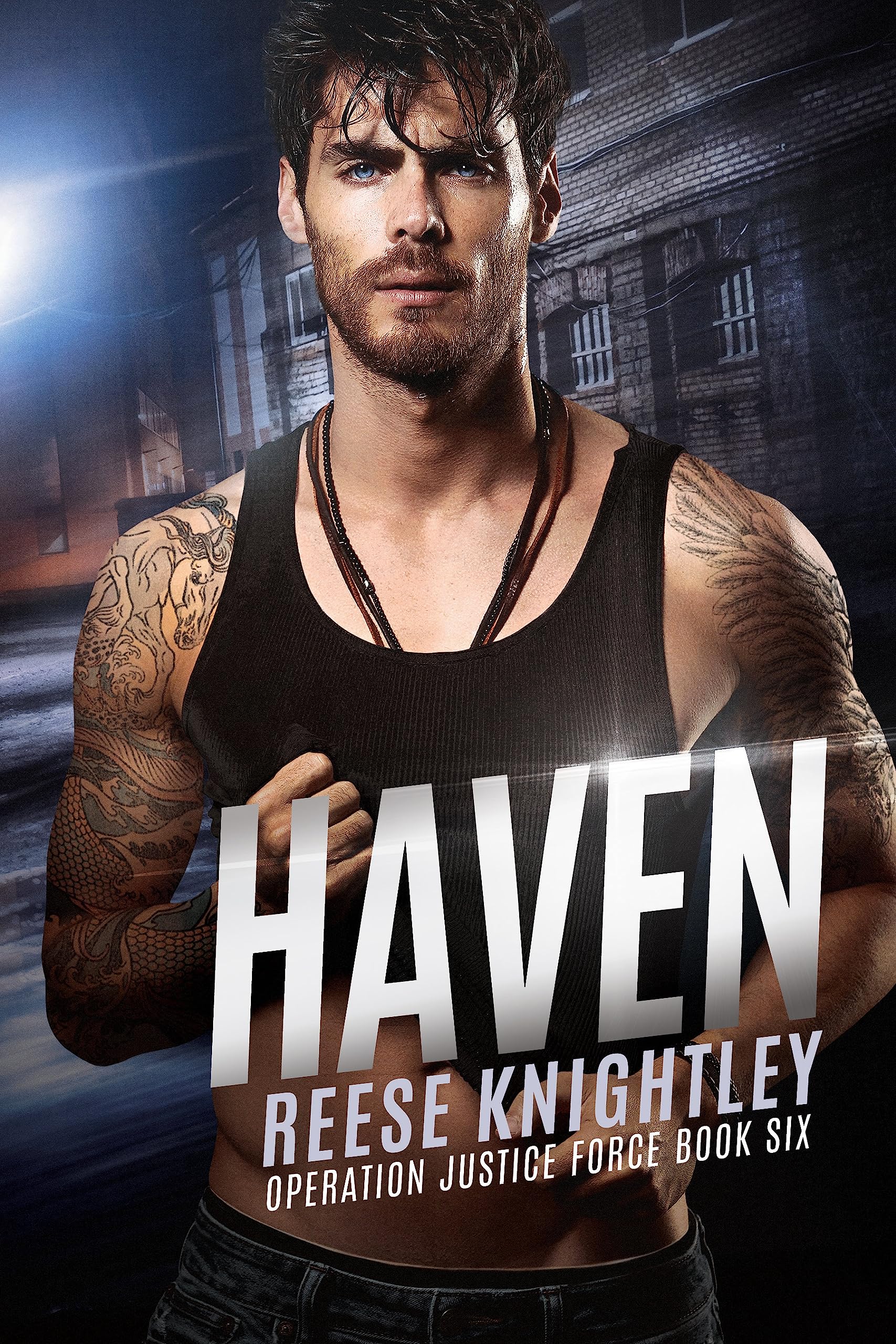 Haven (Operation Justice Force, #6)