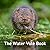 The Water Vole Book (The Na...