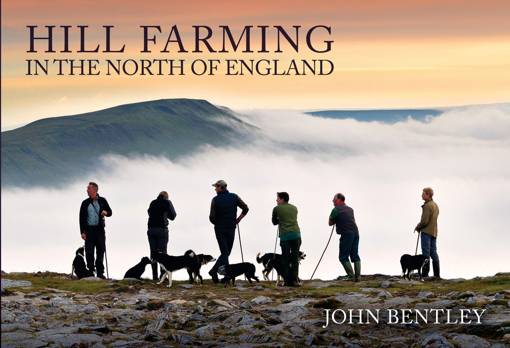 Hill Farming in the North of England (Paperback)