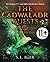 The Cadwaladr Quests (Book One: Tangled Time): The Unique 11+ and SATs Vocabulary Novel